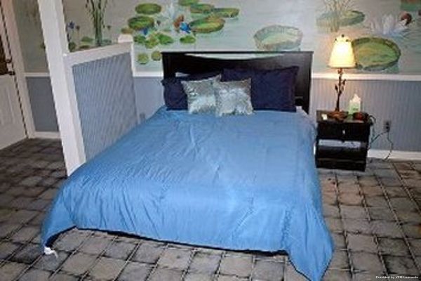 Hotel BLISSWOOD BED AND BREAKFAST (Cat Spring)